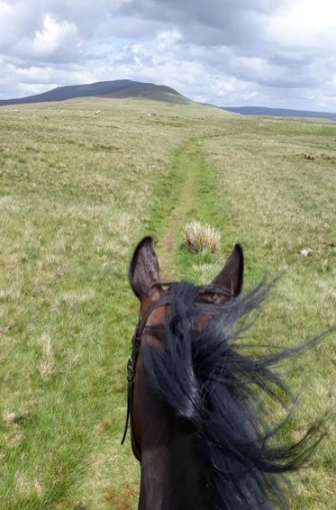 Riding in the Yorkshire Dales