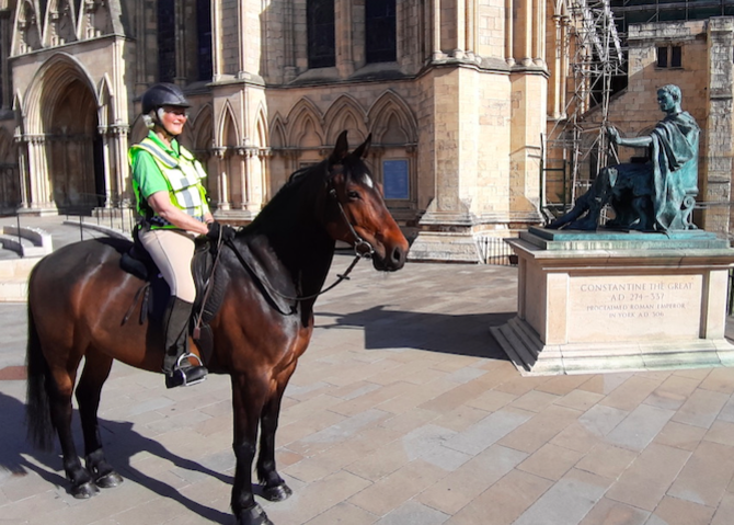 Janet & Scout at York Minster during 2020 lockdown